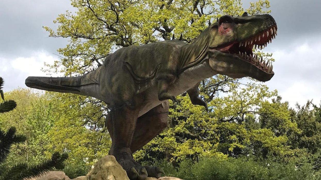 Land of the Living Dinosaurs West Midlands Safari park