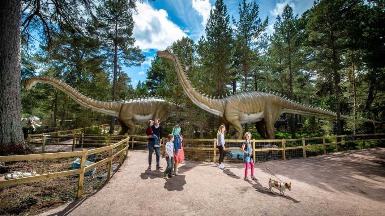 landmark forest adventure park