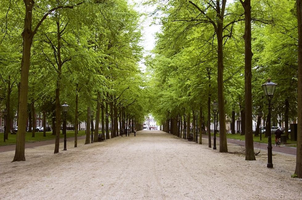 Lange Voorhout in The Hague, where Imagine Leisure conducted a study into future sculpture exhibitions