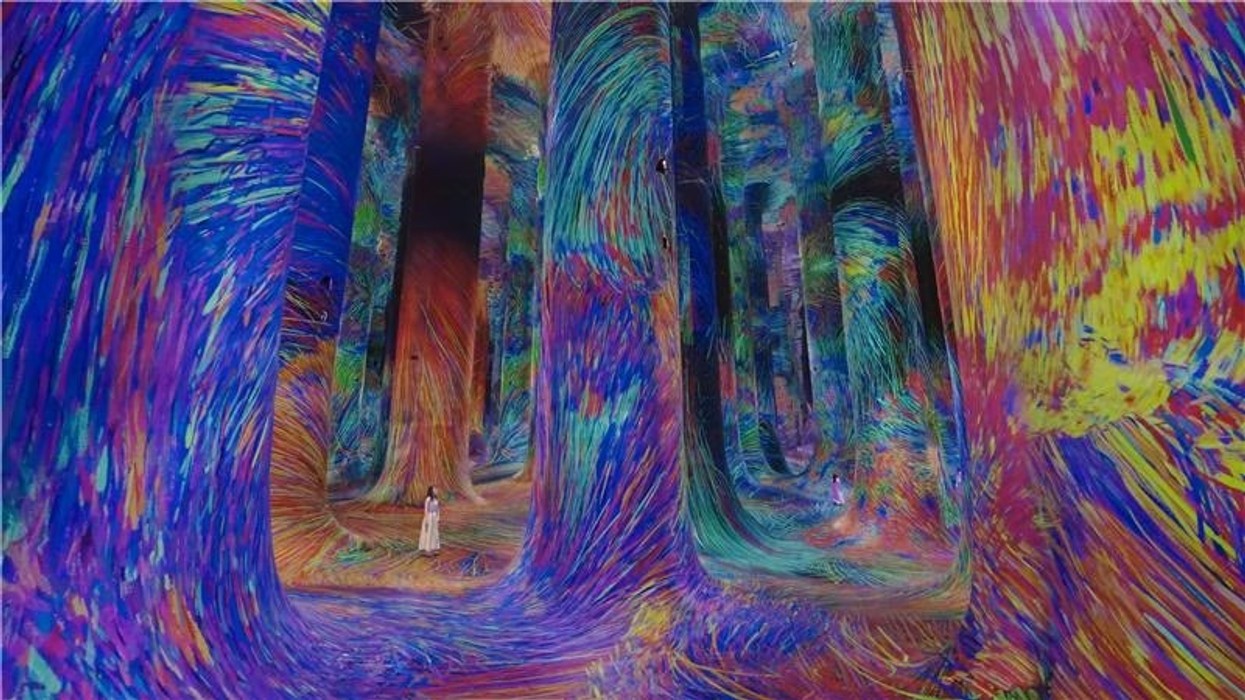 Large colourful immersive room, with person stood in the center at teamLab Phenomena Abu Dhabi