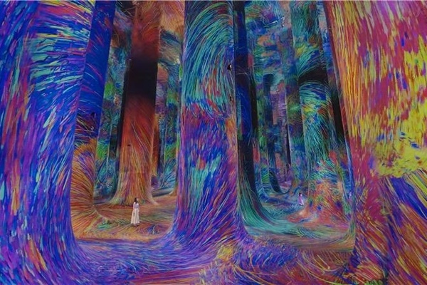 Large colourful immersive room, with person stood in the center at teamLab Phenomena Abu Dhabi