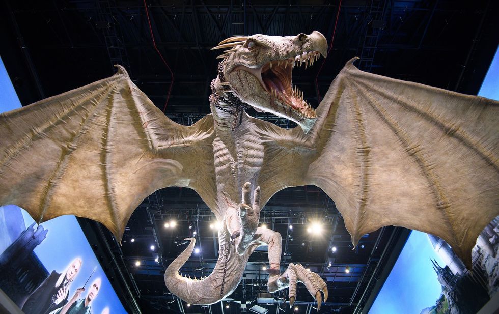 Large Harry Potter dragon model with open wings and mouth, displayed in an indoor setting.