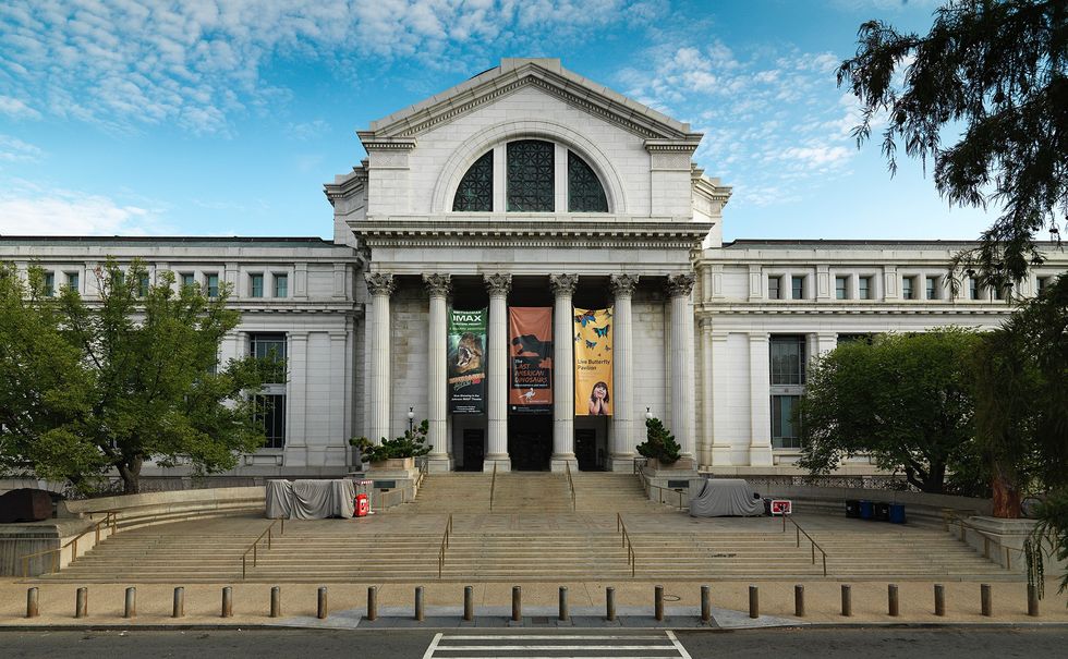 Large neoclassical building, National Museum of Natural History, with banners on tall columns and wide steps at the entrance.