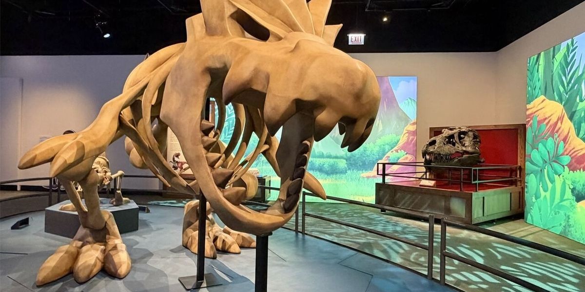 Pokémon Fossil Museum exhibition opens at Chicago's Field Museum