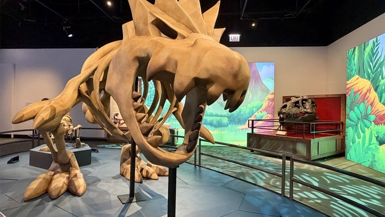 Large stylized Pokemon Fossil skeleton on display in a dimly lit exhibition room at the Field Museum in Chicago.