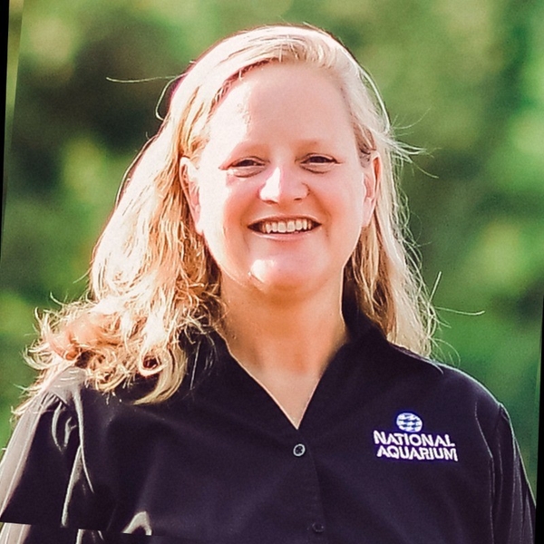 Laura Bankey headshot