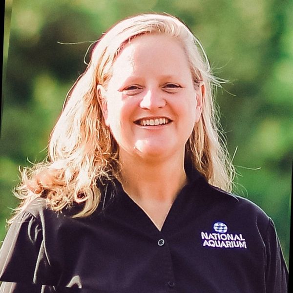 Laura Bankey headshot