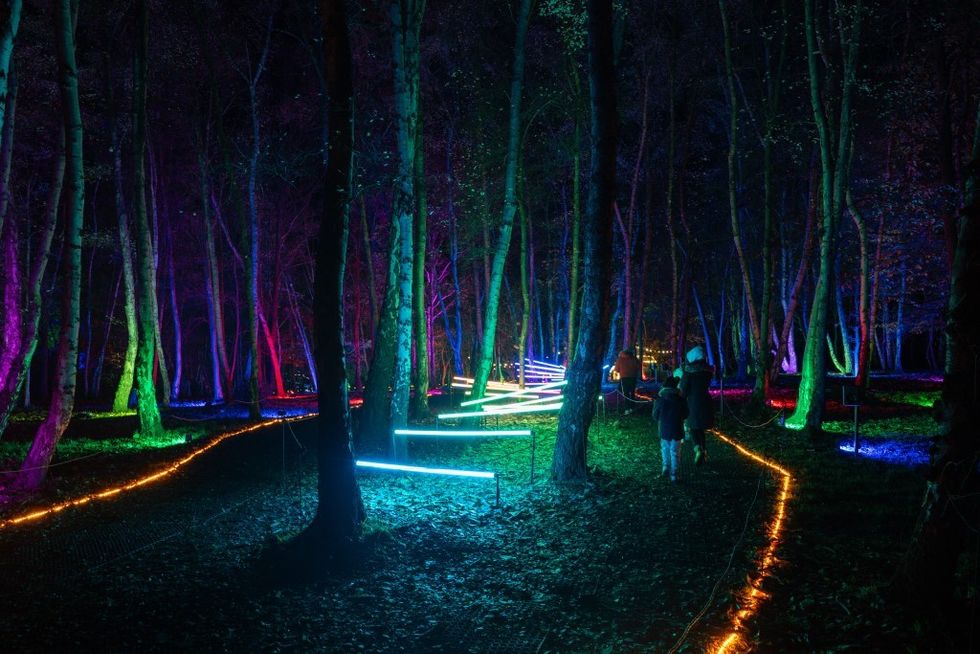 LCI Productions illuminates Windsor Great Park woodland walk