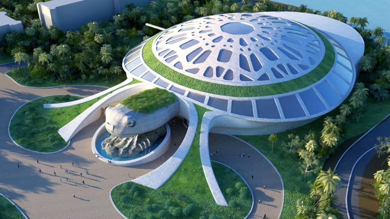 legacy entertainment development turtle