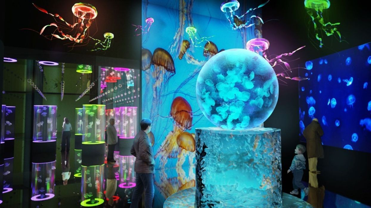 Legacy Entertainment to design Ocean Park in Beijing