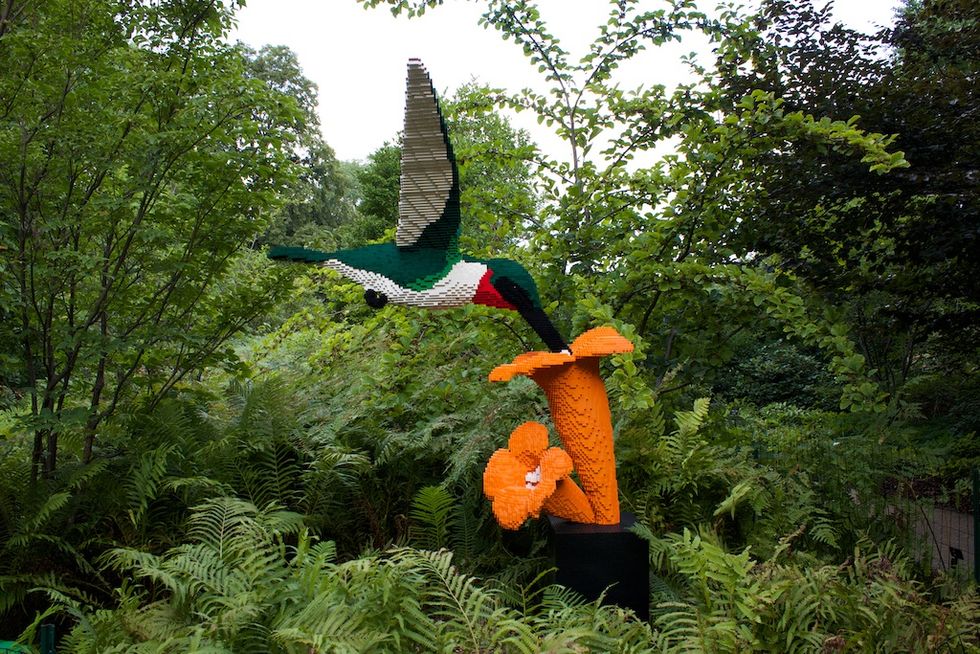 LEGO hummingbird and flower sculpture surrounded by lush green foliage.