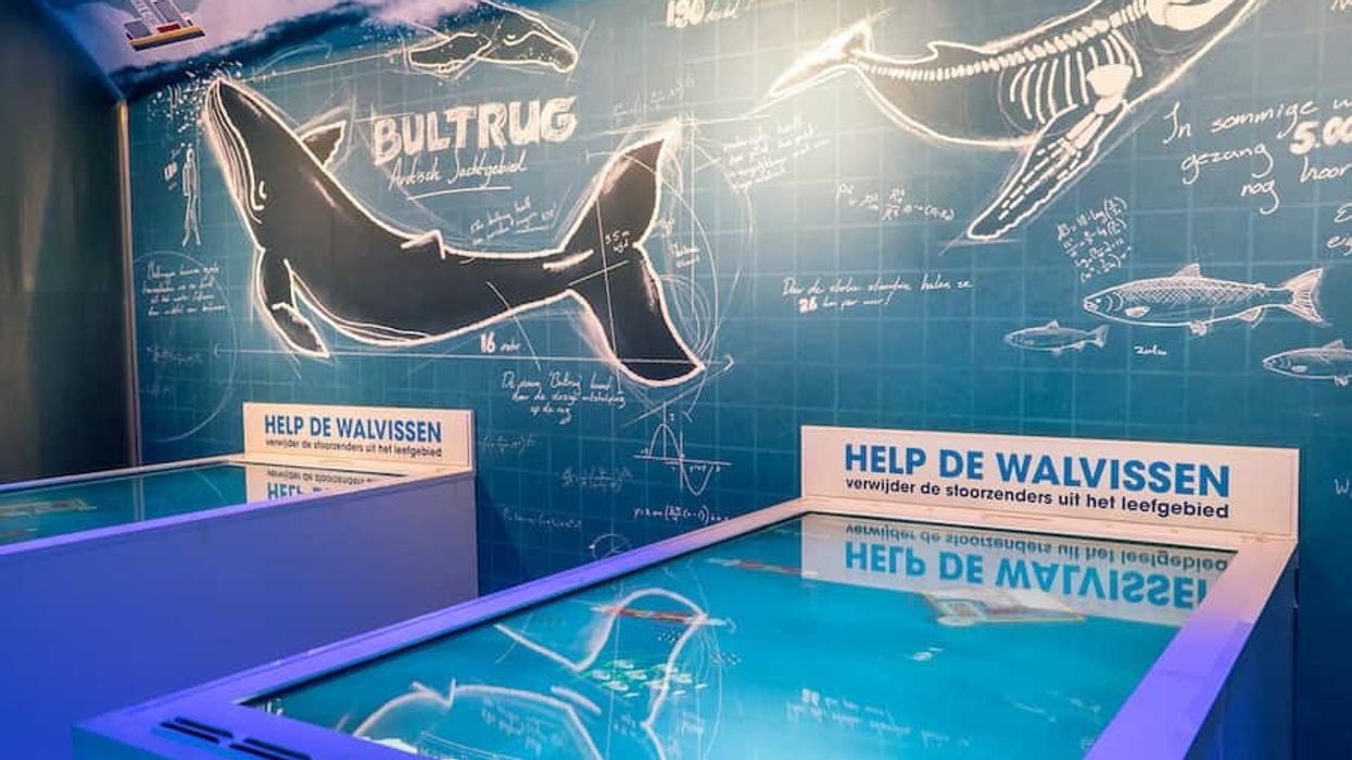 Leisure Expert Group designs new Sonar Station Exhibit at Wildlands Adventure Zoo