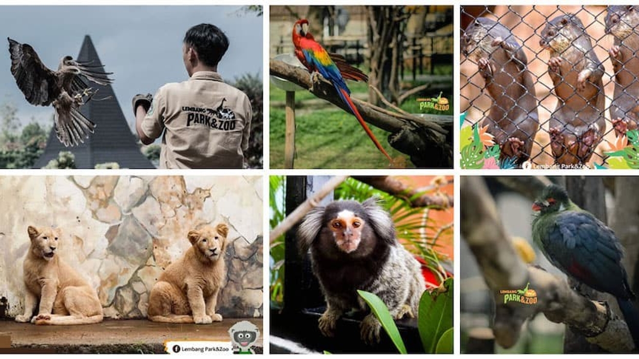 Lembang Park & Zoo