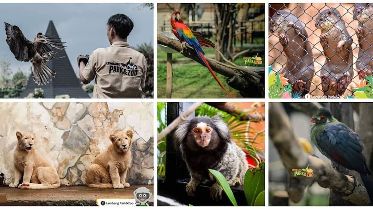 Lembang Park & Zoo