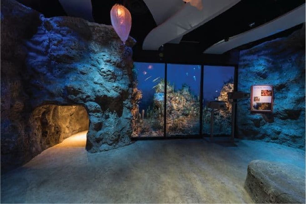 Lexington Companies of Nassal museum