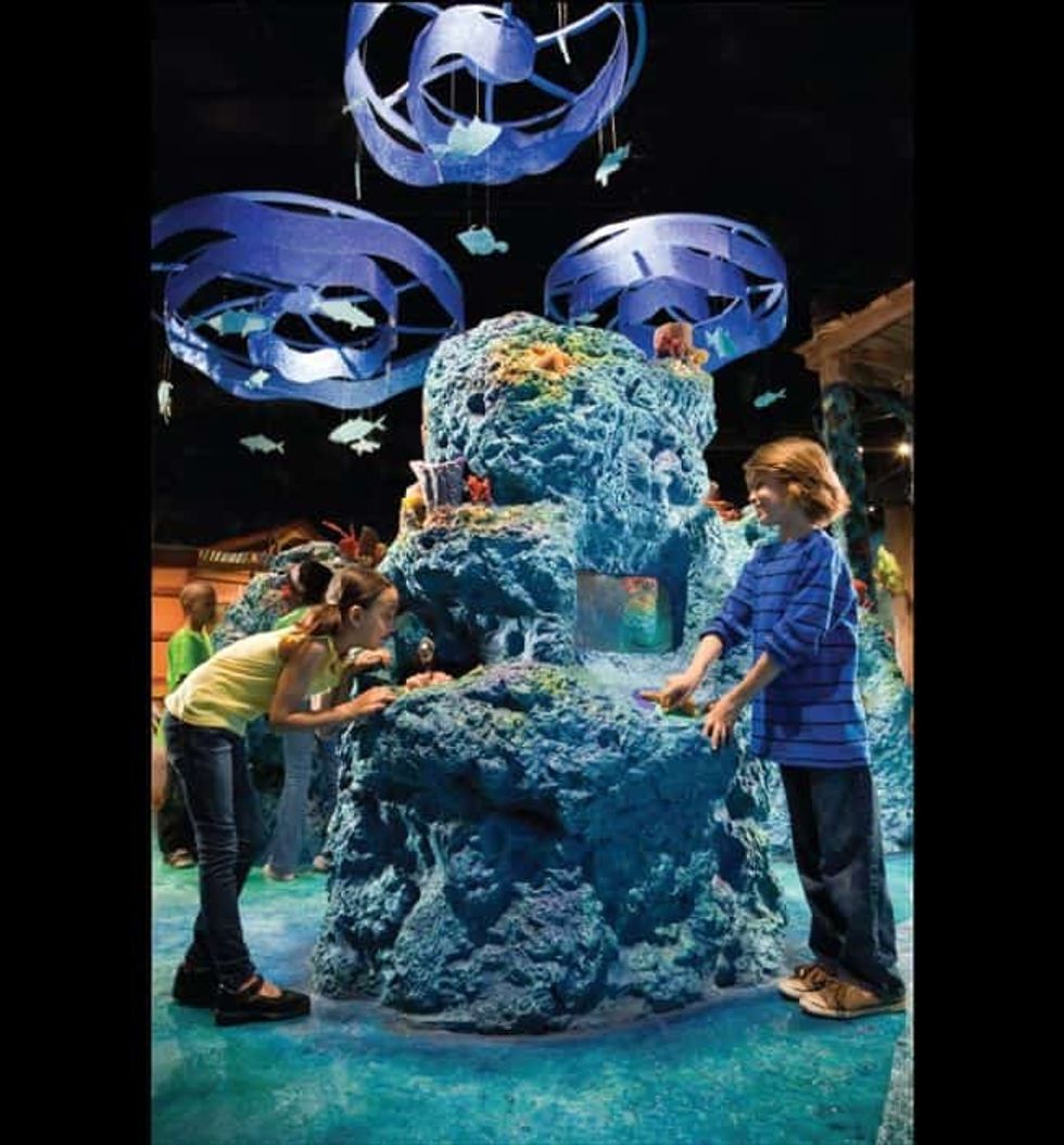 Lexington Companies of Nassal Nature Quest