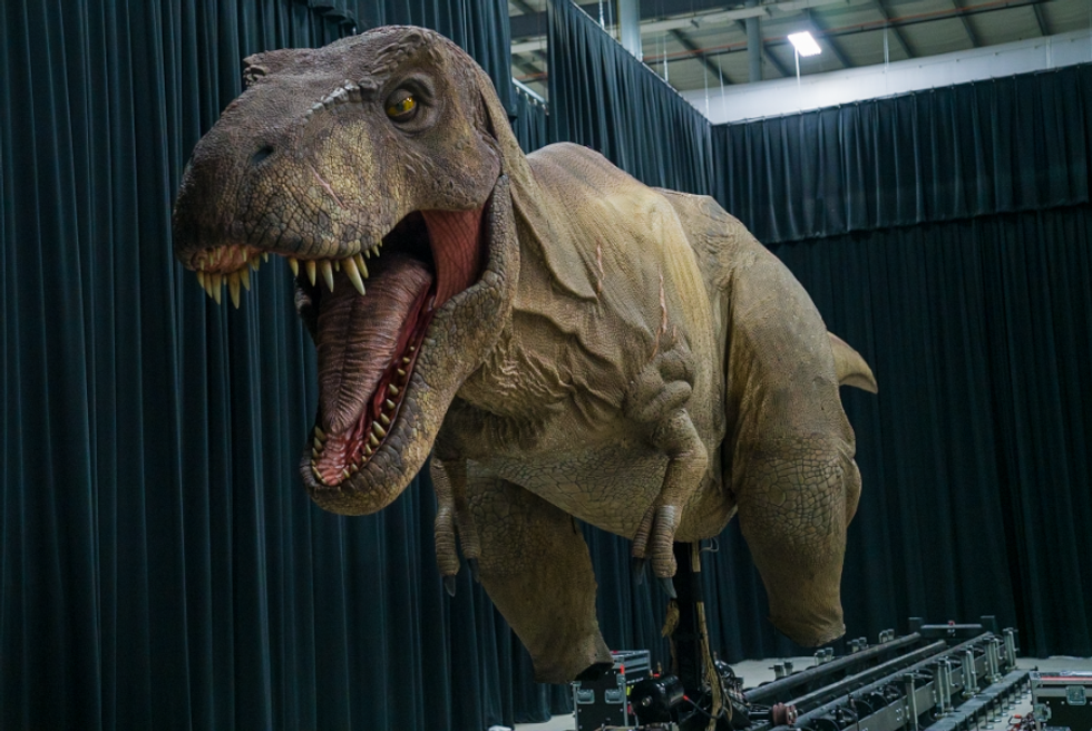 Life-sized animatronic T-Rex with open mouth, indoors on a mechanized platform.