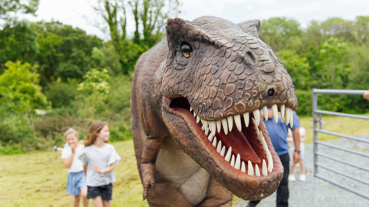 Lifelike dinosaur puppet at the Dinosaur Park in Tenby, Wales entertaining children outdoors.