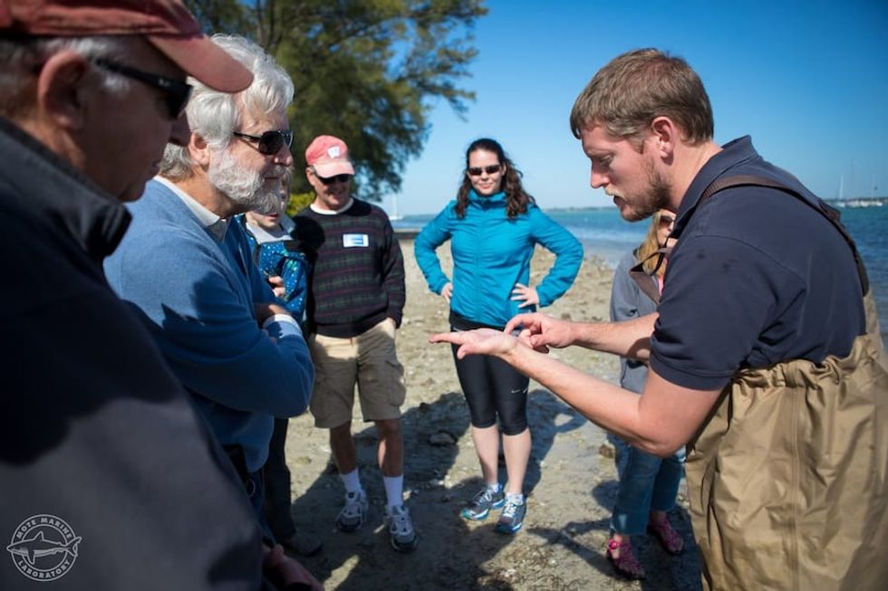 Lifelong Learning: Florida Coastal Habitats