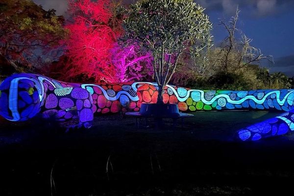 Light Creatures at Adelaide Zoo lizard
