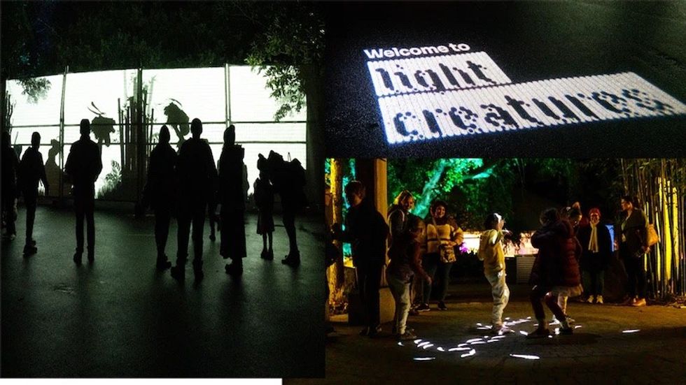 Light Creatures at Adelaide Zoo welcome