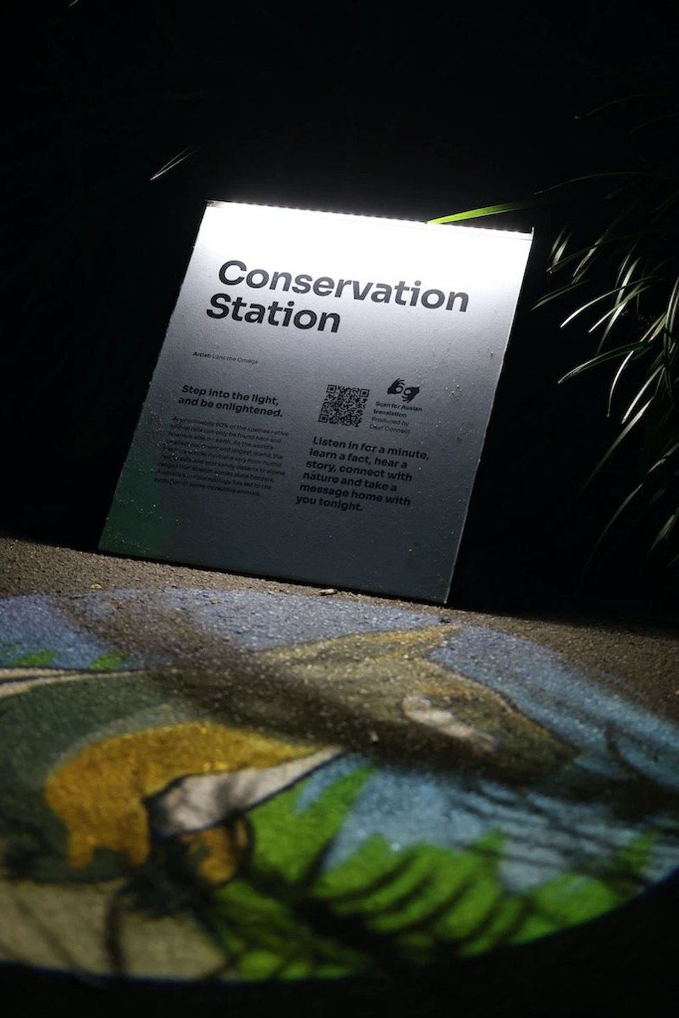 Light Creatures at Adelaide Zoo