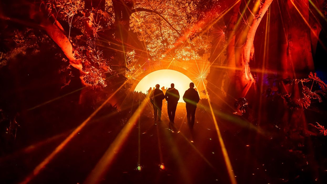 Light Cycles Moment Factory