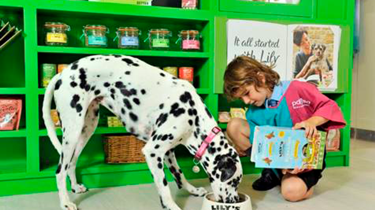 Lilys Kidzania London