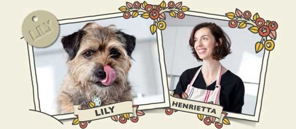 Lily’s Kitchen henrietta and lily