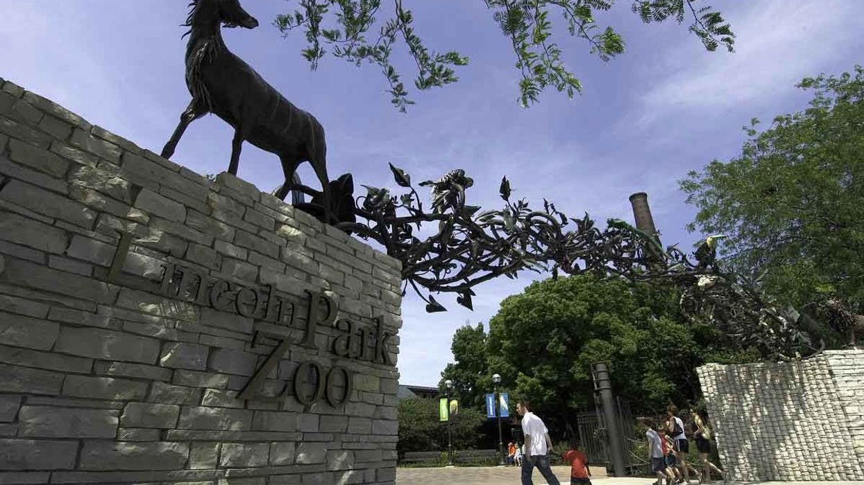 Lincoln Park Zoo