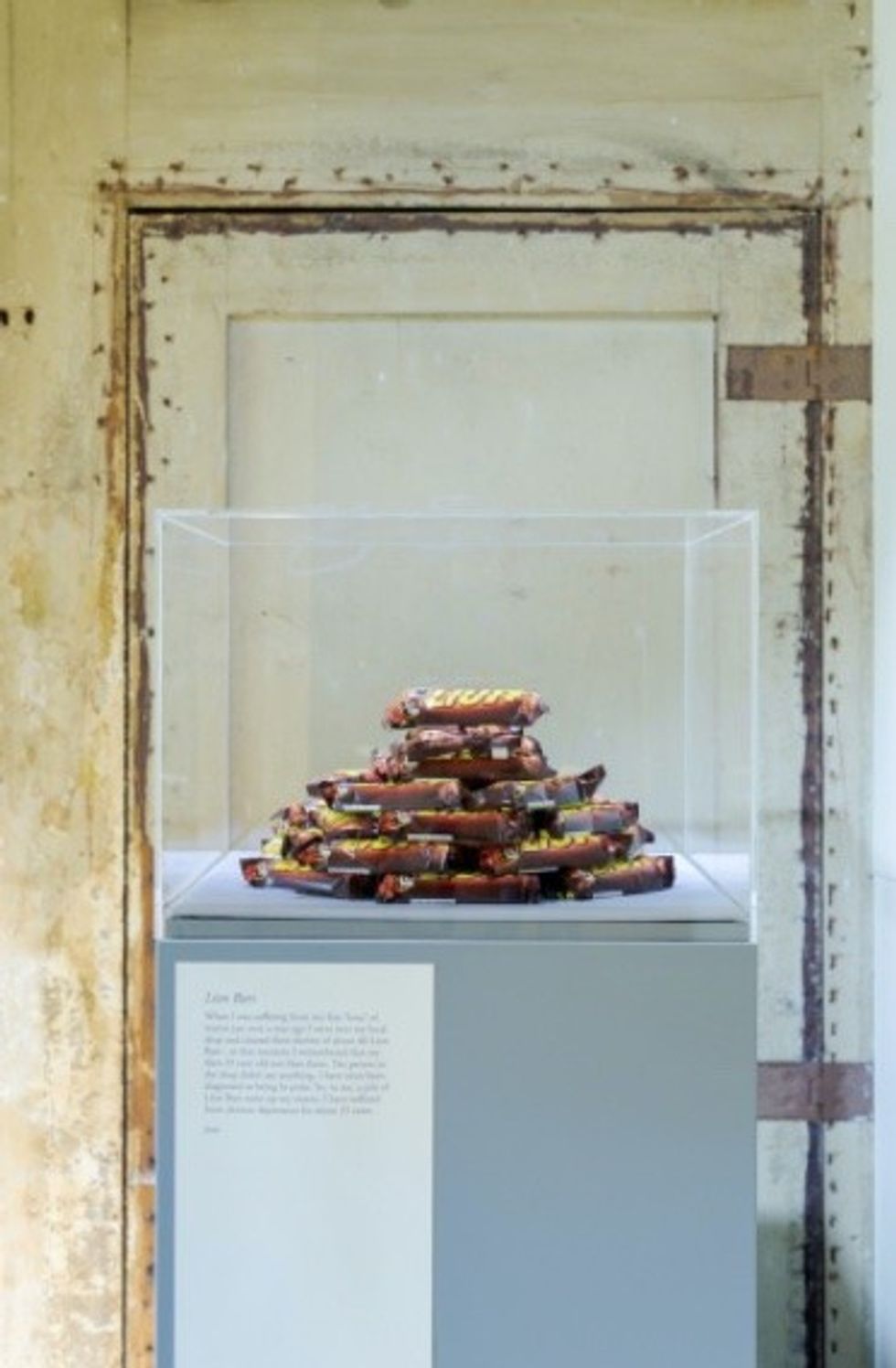 lion bars exhibit
