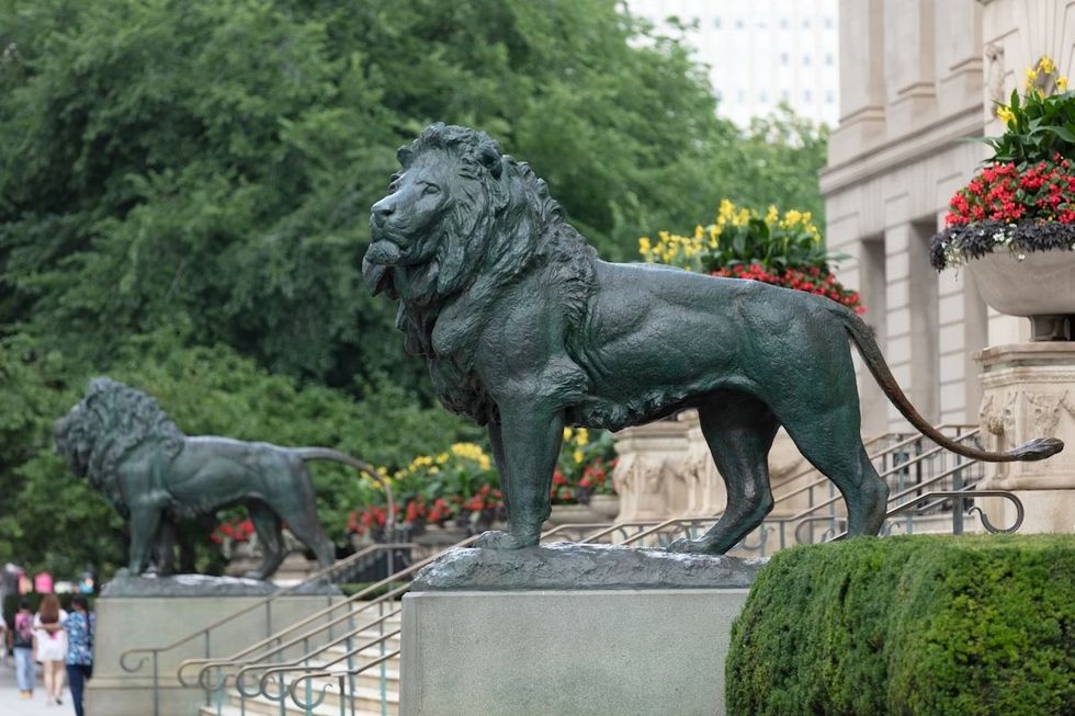 Lion statues stand proudly outside The Art Institute of Chicago, surrounded by greenery and flowers.