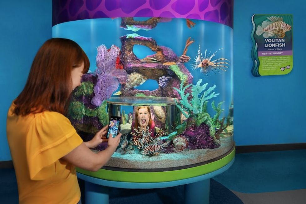 Lionfish popup aquarium at the boardwalk