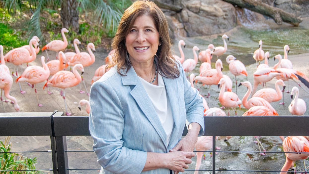 lisa peterson houston zoo