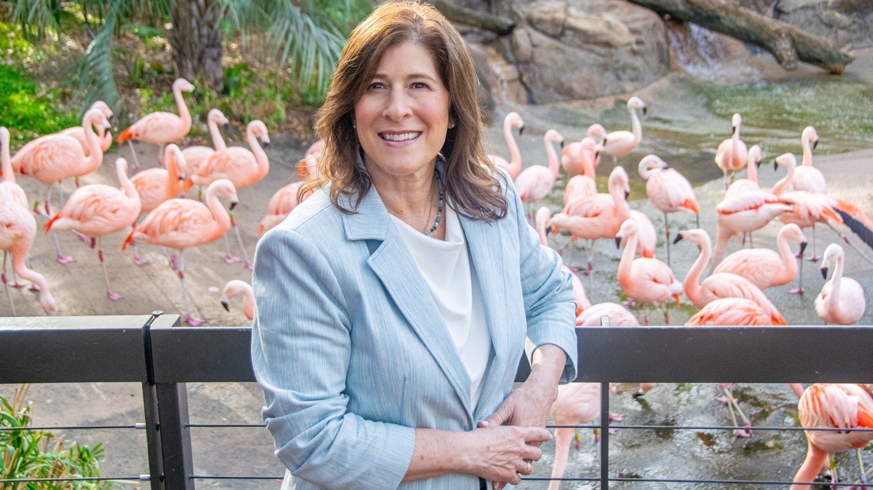 lisa peterson houston zoo