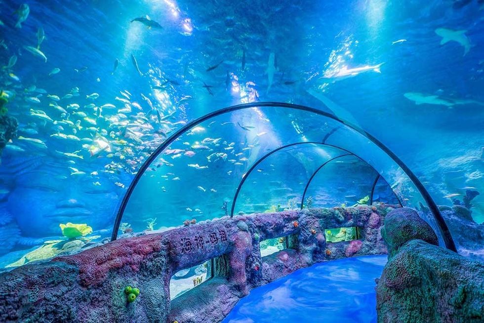 Little BIG City Sea Life Chongqing