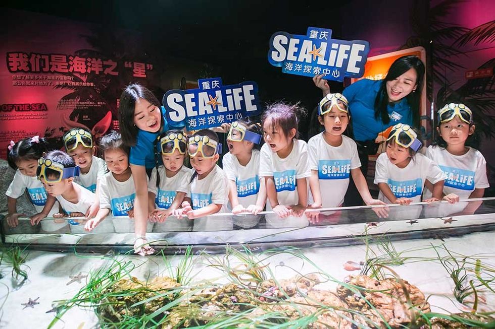 Little BIG City Sea Life Chongqing