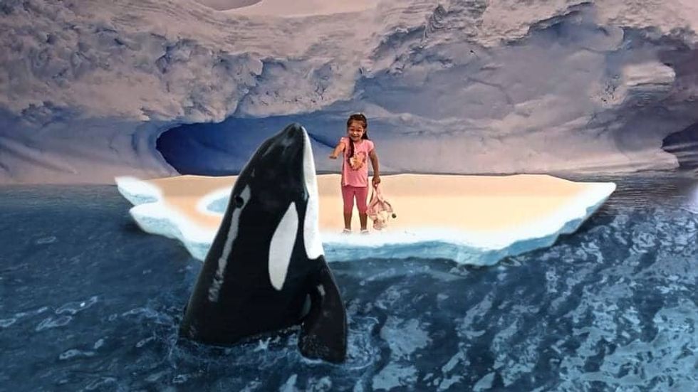Little girl interacting with killer whale in augmented reality