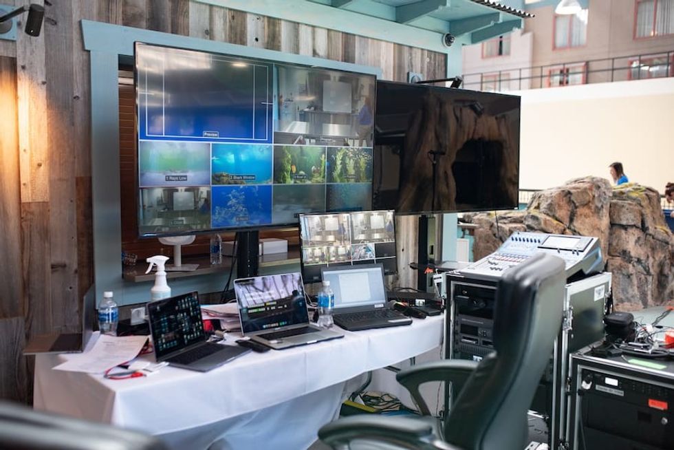 Live Stream setup AV