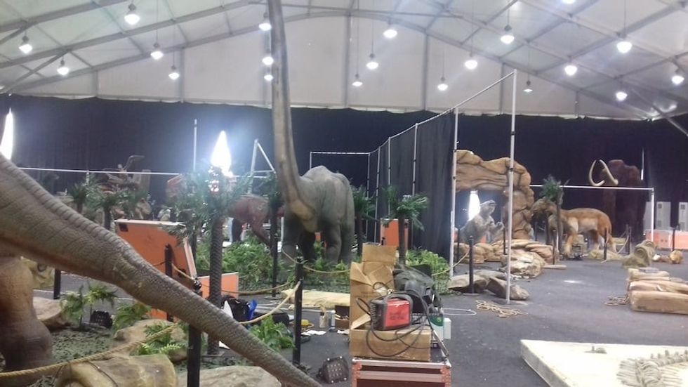 Living Dinosaurs during setup