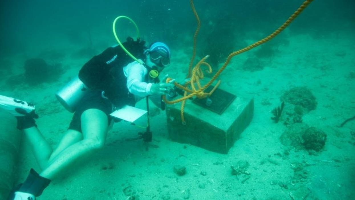 living museum in the sea