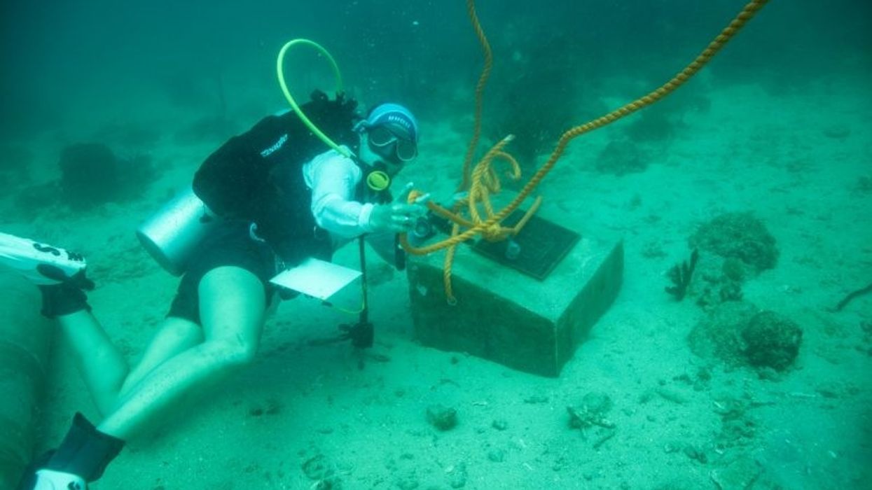 living museum in the sea
