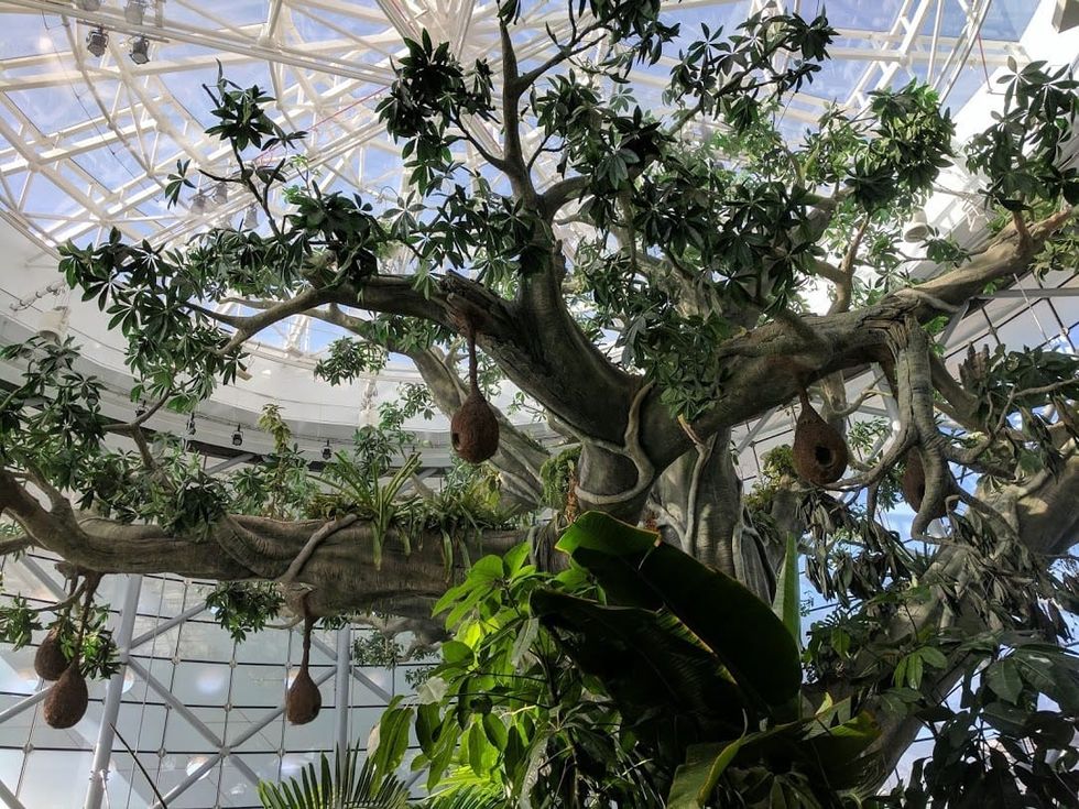 living planet dubai city walk dubai