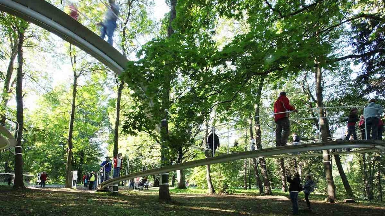 Loch Lomond Woodland Trail. flamingo land