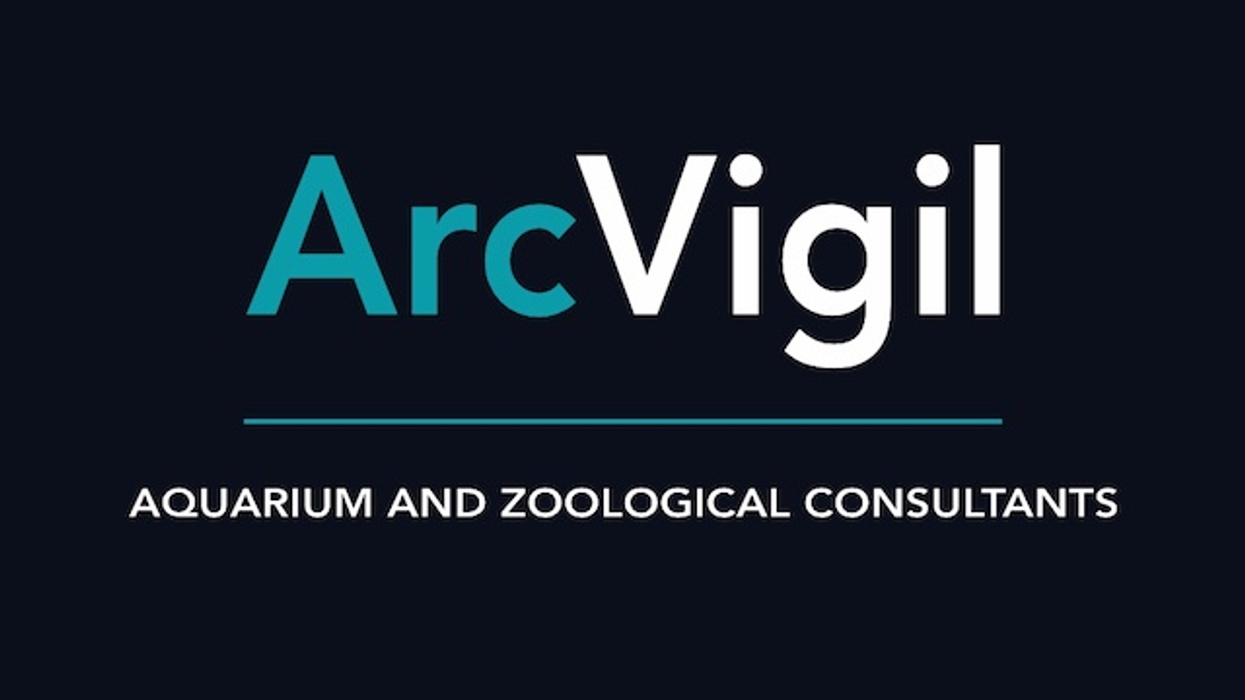 Logo: "ArcVigil" with subtitle "Aquarium and Zoological Consultants" on dark background.