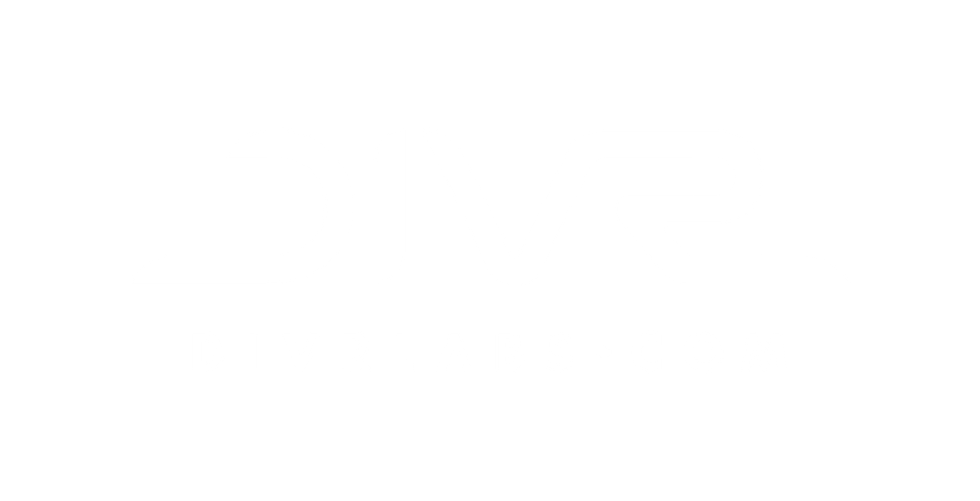 logo DIVR save zone 03