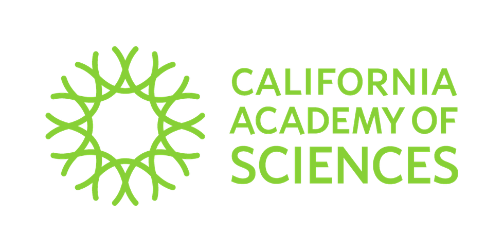 logo min
