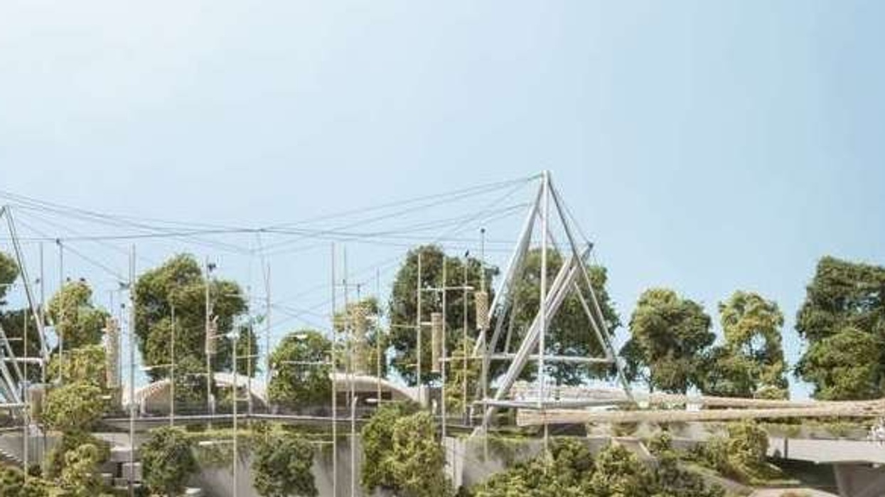 london zoo snowdon aviary