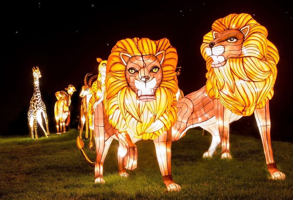 Longleat Festival of Light