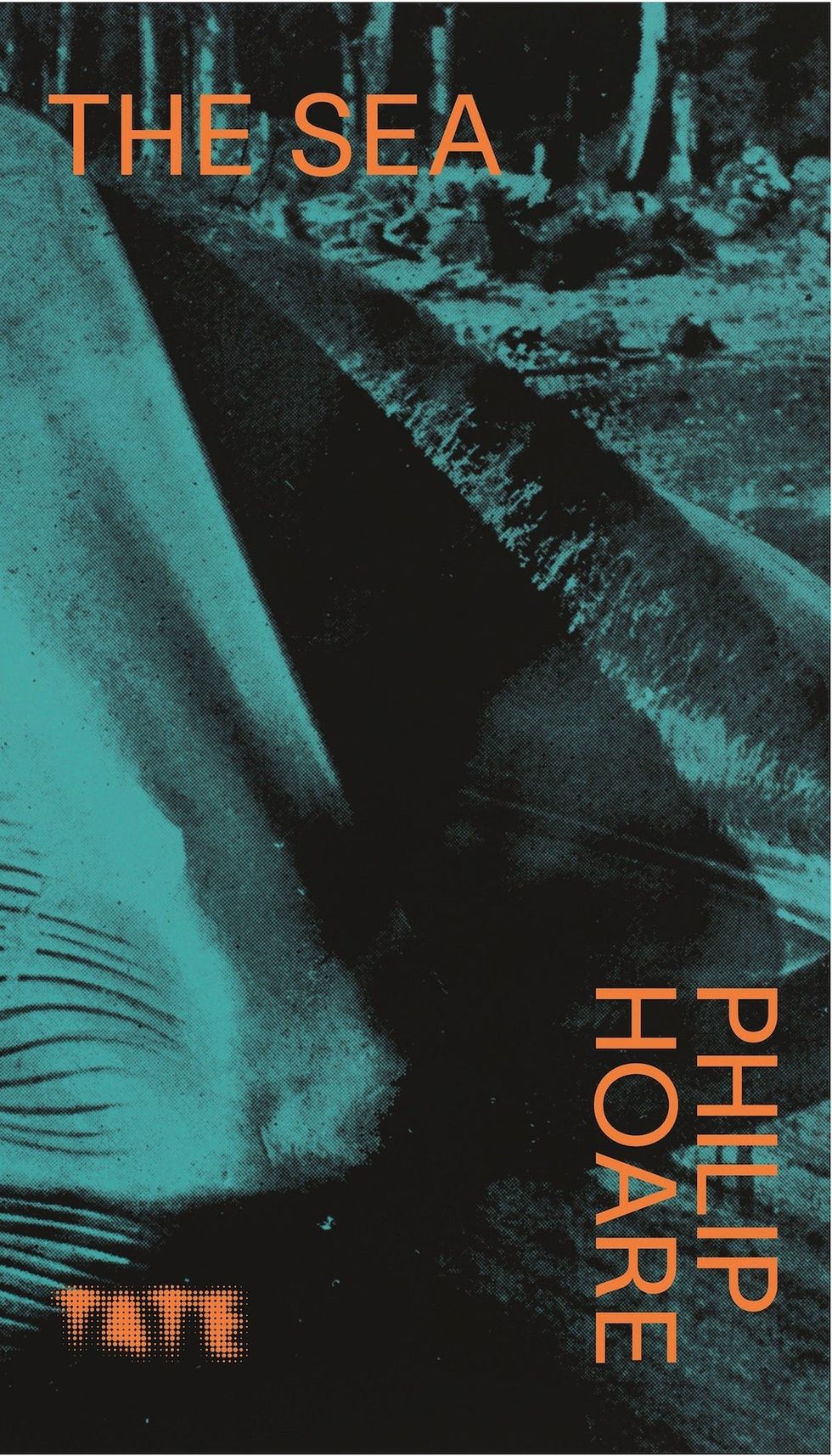 Look Again Sea by Philip Hoare